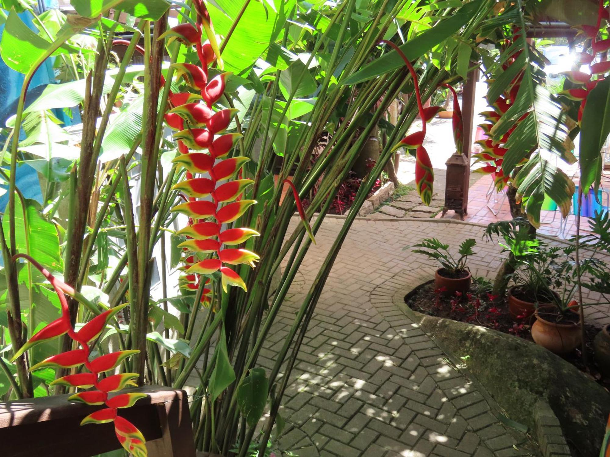 Patio Floriparadise Florianópolis 외부 사진